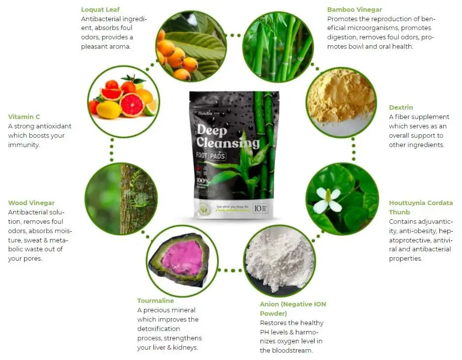 Main Ingredients of Nuubu Detox Patches