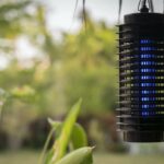 Where to Place a Bug Zapper